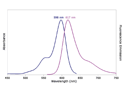 Absorbance and Fluorescence Emission